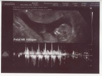 scan1.jpg