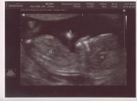 scan2.jpg