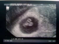 scan.jpg