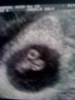 scan 2.jpg