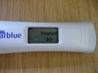 17dpo.jpg