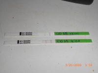 20090320_15.jpg