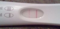FRER 12.23.jpg