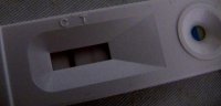 IMG_066111test1.jpg