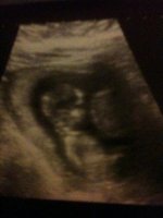 Baby 3.jpg
