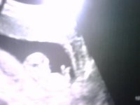 IMG00279-20101213-1539.jpg