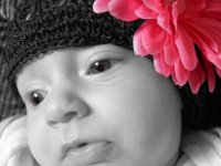 PP flower.jpg