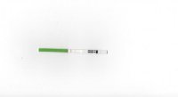 opk 002.jpg
