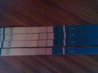 IMG00073-20101230-1647.jpg