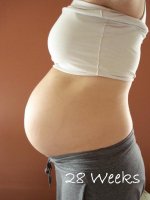 28 weeks.jpg