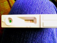 opk.jpg