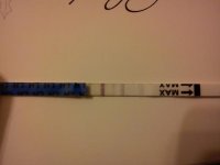06012011b.jpg