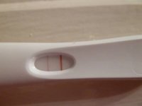 16dpo frer1.jpg