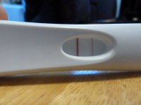 16dpo frer4.jpg