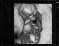 ScreenHunter_01 Jan. 08 14.44.gif
