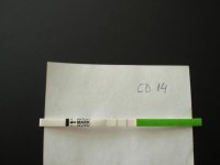 CIMG1153.jpg