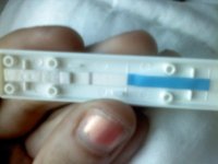 tests1.jpg