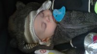 10012011319.jpg