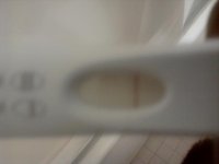 IMG_20110110_171852.jpg
