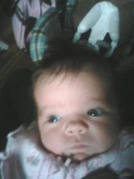 1 week old (2).jpg