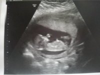 scan1.jpg