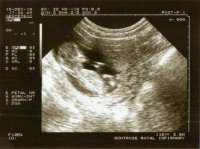 Scan3.jpg