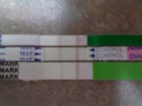 test strips 3.jpg