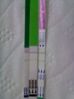 test strips.jpg