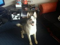 Holly posing.jpg