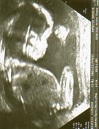 img063.jpg