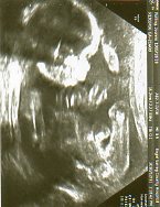 img065.jpg