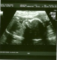 22+3 scan1.jpg