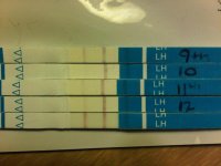 IMG00114-20110119-1603.jpg