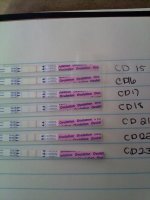 TEST STRIPS #4.jpg