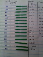 TEST STRIPS #5.jpg