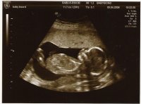 Scan0029.JPG