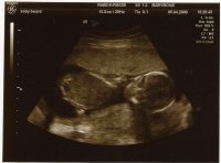 Scan0030.JPG
