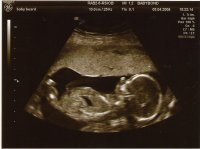 Scan0033.JPG