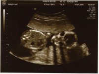 Scan0031.JPG