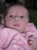 Isla 2011 022.jpg