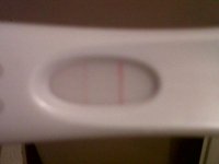 IMG00002-20110124-0702.jpg