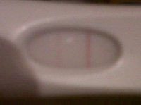 IMG00003-20110124-0703.jpg