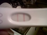 IMG00004-20110124-0726.jpg