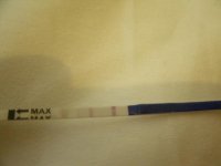 GEDC0981.jpg