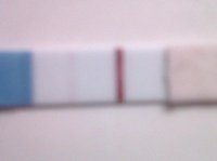 IMG00076-20110125-2012.jpg