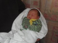 hayden 025.jpg