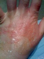 IMG_0164.jpg