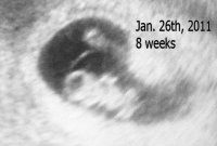8weeksWombat.jpg