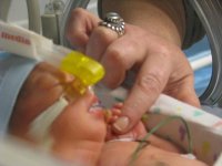 20110126_226.jpg