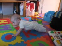 Pushups.jpg